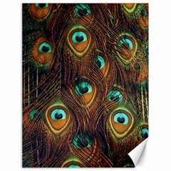 Peacock Feathers Canvas 18  X 24  by Ravend