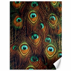 Peacock Feathers Canvas 36  X 48  by Ravend