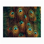 Peacock Feathers Small Glasses Cloth (2 Sides) Front