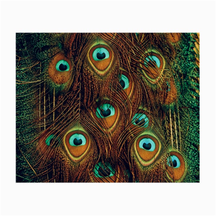 Peacock Feathers Small Glasses Cloth (2 Sides)