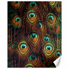 Peacock Feathers Canvas 11  X 14  by Ravend