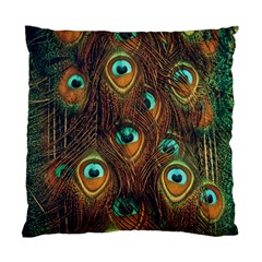 Peacock Feathers Standard Cushion Case (one Side) by Ravend