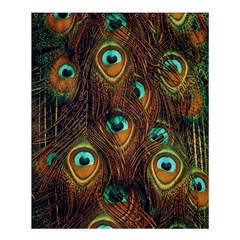 Peacock Feathers Shower Curtain 60  x 72  (Medium) 