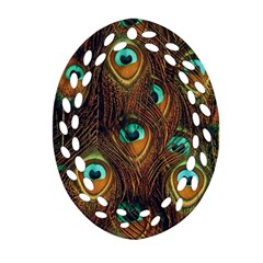 Peacock Feathers Oval Filigree Ornament (two Sides) by Ravend