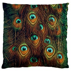 Peacock Feathers Standard Premium Plush Fleece Cushion Case (One Side)