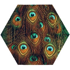 Peacock Feathers Wooden Puzzle Hexagon