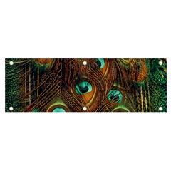 Peacock Feathers Banner And Sign 6  X 2  by Ravend