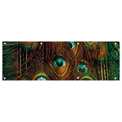 Peacock Feathers Banner And Sign 9  X 3  by Ravend