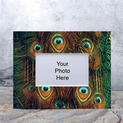 Peacock Feathers White Tabletop Photo Frame 4 x6 