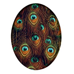 Peacock Feathers Oval Glass Fridge Magnet (4 Pack) by Ravend