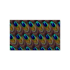 Peacock-feathers-bird-plumage Sticker (rectangular) by Ravend