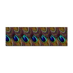 Peacock-feathers-bird-plumage Sticker (bumper) by Ravend