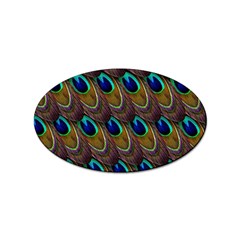 Peacock-feathers-bird-plumage Sticker Oval (100 Pack) by Ravend