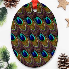 Peacock-feathers-bird-plumage Oval Ornament (two Sides) by Ravend