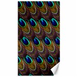 Peacock-feathers-bird-plumage Canvas 40  x 72  39.28 x69.23  Canvas - 1