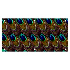 Peacock-feathers-bird-plumage Banner And Sign 6  X 3  by Ravend