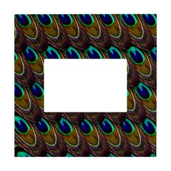 Peacock-feathers-bird-plumage White Box Photo Frame 4  X 6  by Ravend