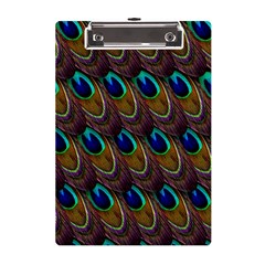 Peacock-feathers-bird-plumage A5 Acrylic Clipboard by Ravend