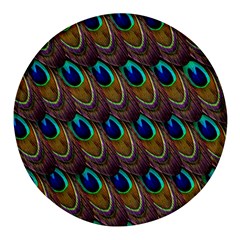 Peacock-feathers-bird-plumage Round Glass Fridge Magnet (4 Pack) by Ravend