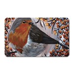 European robin Magnet (Rectangular) Front