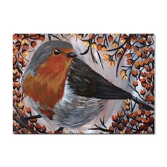 European Robin Sticker A4 (100 Pack) by EireneSan