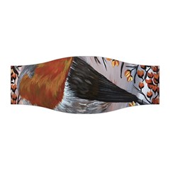 European Robin Stretchable Headband