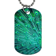 Green And Blue Peafowl Peacock Animal Color Brightly Colored Dog Tag (two Sides) by uniart180623