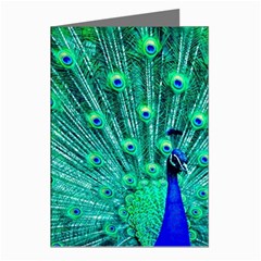 Green And Blue Peafowl Peacock Animal Color Brightly Colored Greeting Cards (pkg Of 8) by uniart180623