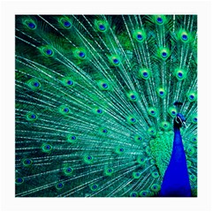 Green And Blue Peafowl Peacock Animal Color Brightly Colored Medium Glasses Cloth (2 Sides) by uniart180623