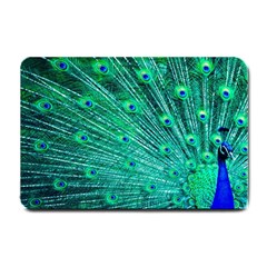 Green And Blue Peafowl Peacock Animal Color Brightly Colored Small Doormat by uniart180623