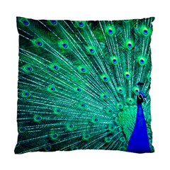 Green And Blue Peafowl Peacock Animal Color Brightly Colored Standard Cushion Case (one Side) by uniart180623