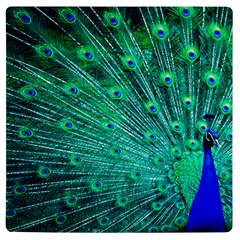 Green And Blue Peafowl Peacock Animal Color Brightly Colored Uv Print Square Tile Coaster  by uniart180623