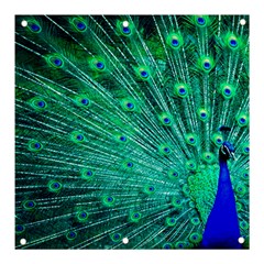 Green And Blue Peafowl Peacock Animal Color Brightly Colored Banner And Sign 3  X 3  by uniart180623