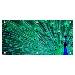 Green And Blue Peafowl Peacock Animal Color Brightly Colored Banner and Sign 6  x 3 