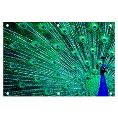 Green And Blue Peafowl Peacock Animal Color Brightly Colored Banner And Sign 6  X 4  by uniart180623