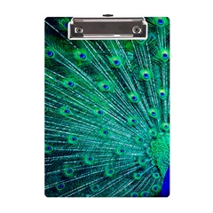 Green And Blue Peafowl Peacock Animal Color Brightly Colored A5 Acrylic Clipboard by uniart180623