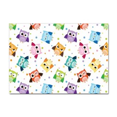 Owl Bird Sticker A4 (10 Pack) by uniart180623