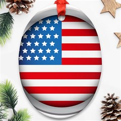 United Of America Usa Flag Ornament (oval)