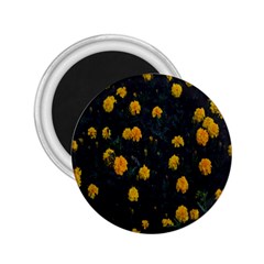 Bloomed Yellow Petaled Flower Plants 2 25  Magnets by artworkshop