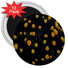 Bloomed Yellow Petaled Flower Plants 3  Magnets (10 Pack) 