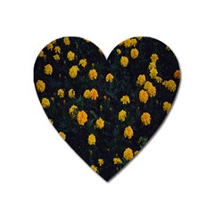 Bloomed Yellow Petaled Flower Plants Heart Magnet by artworkshop