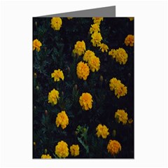 Bloomed Yellow Petaled Flower Plants Greeting Cards (pkg Of 8) by artworkshop