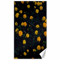 Bloomed Yellow Petaled Flower Plants Canvas 40  X 72  by artworkshop