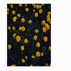 Bloomed Yellow Petaled Flower Plants Large Garden Flag (two Sides) by artworkshop