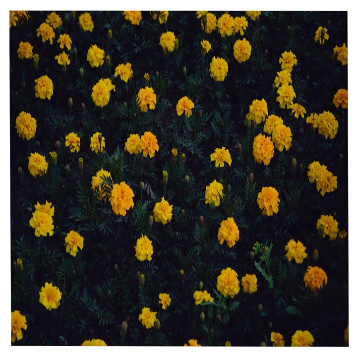 Bloomed Yellow Petaled Flower Plants Wooden Puzzle Square