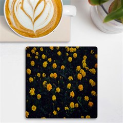 Bloomed Yellow Petaled Flower Plants Uv Print Square Tile Coaster  by artworkshop