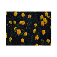 Bloomed Yellow Petaled Flower Plants Premium Plush Fleece Blanket (mini) by artworkshop