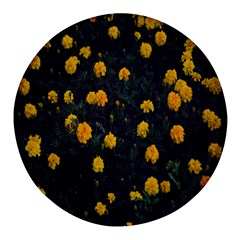 Bloomed Yellow Petaled Flower Plants Round Glass Fridge Magnet (4 Pack)