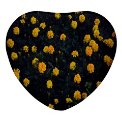 Bloomed Yellow Petaled Flower Plants Heart Glass Fridge Magnet (4 Pack) by artworkshop