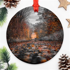 Breathe In Nature Background Round Ornament (two Sides)